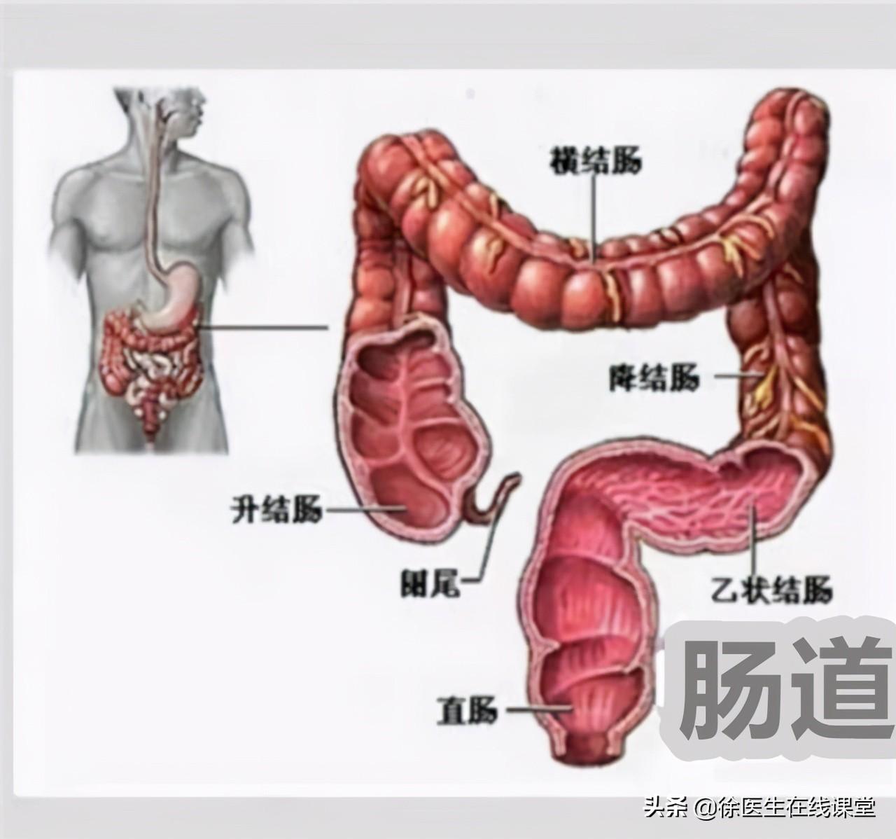 忆苦思甜纯属妄想说是人生梦一场是什么生肖，详细解答、深度解答解释落实