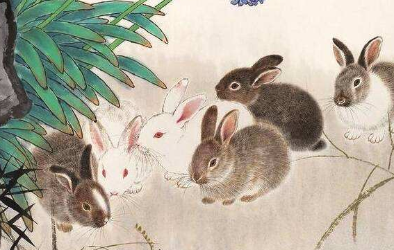 双数特波看蓝绿,一木一金一方水是什么生肖，全面释义、深度解答解释落实