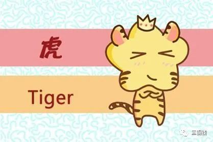 双数特波看蓝绿,一木一金一方水是什么生肖，全面释义、深度解答解释落实